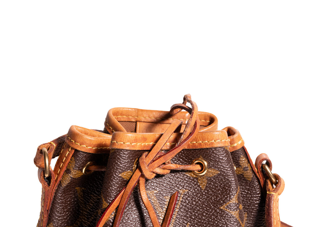 Sac Noe Nano Monogram Canvas