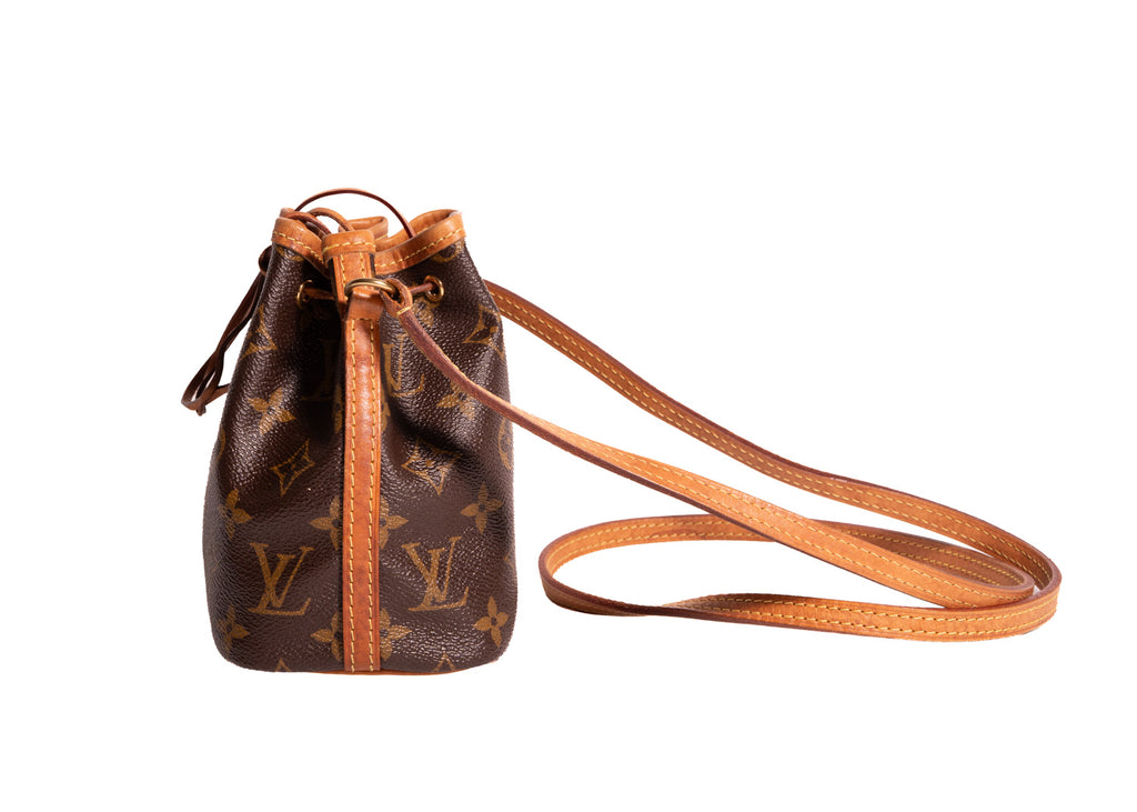 Sac Noe Nano Monogram Canvas