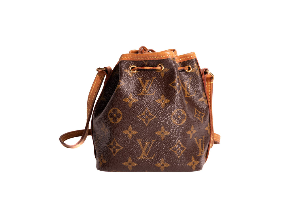 Sac Noe Nano Monogram Canvas