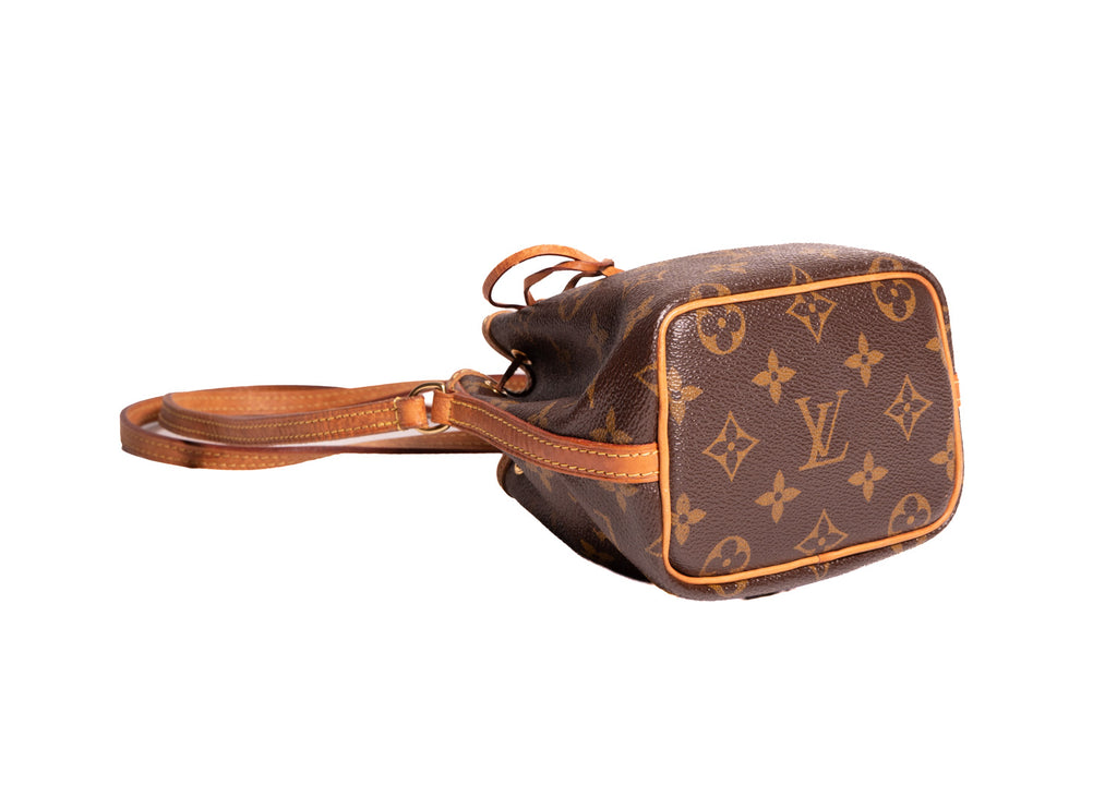 Sac Noe Nano Monogram Canvas