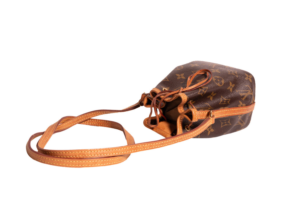 Sac Noe Nano Monogram Canvas