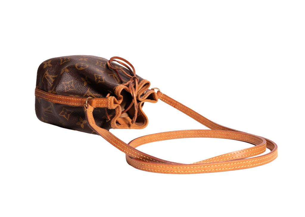 Sac Noe Nano Monogram Canvas