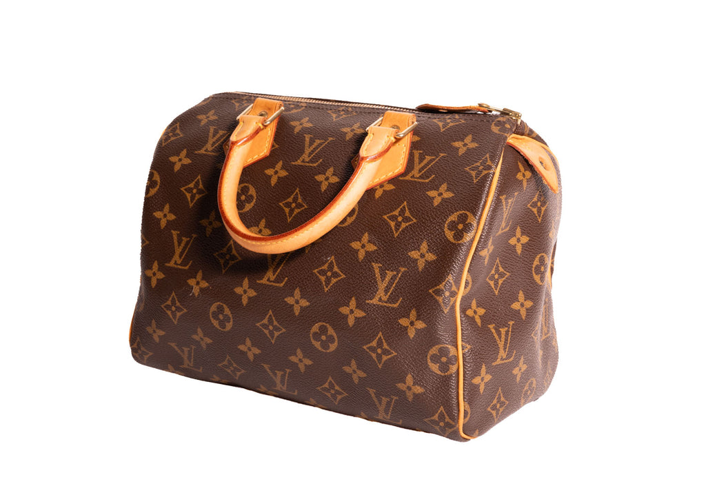 Speedy Monogram Canvas 25