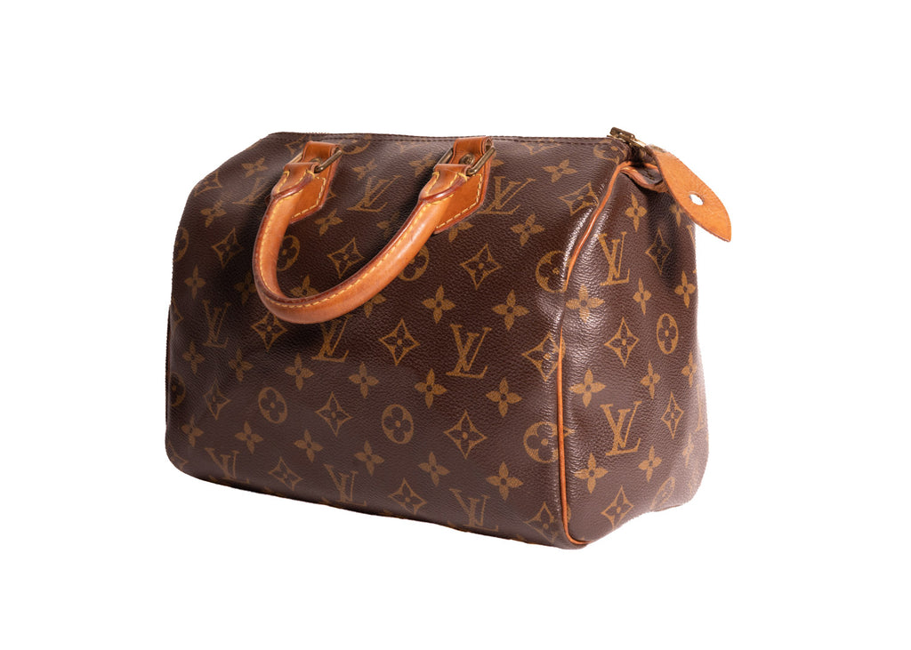 Speedy Monogram Canvas 25