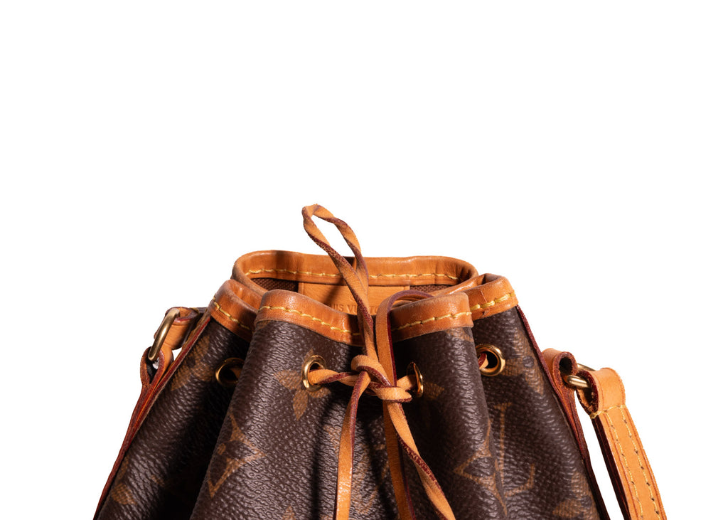 Sac Noe Nano Monogram Canvas