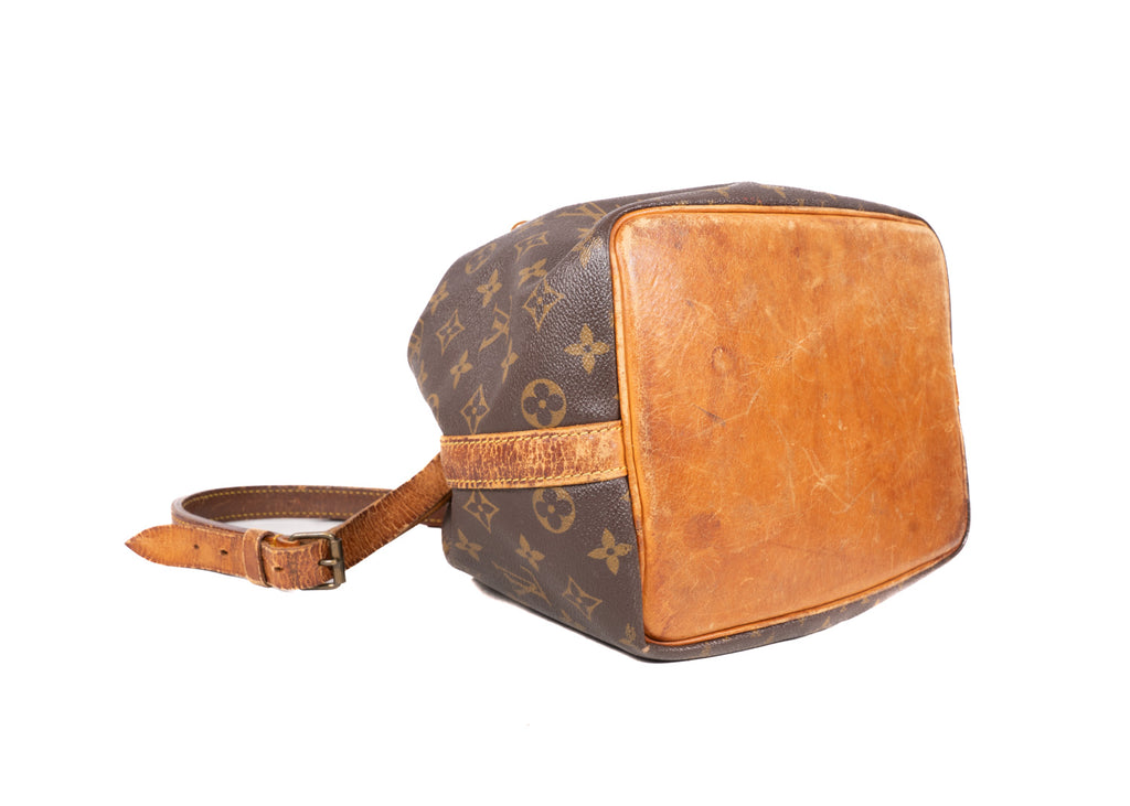 Noe Monogram Canvas Petit