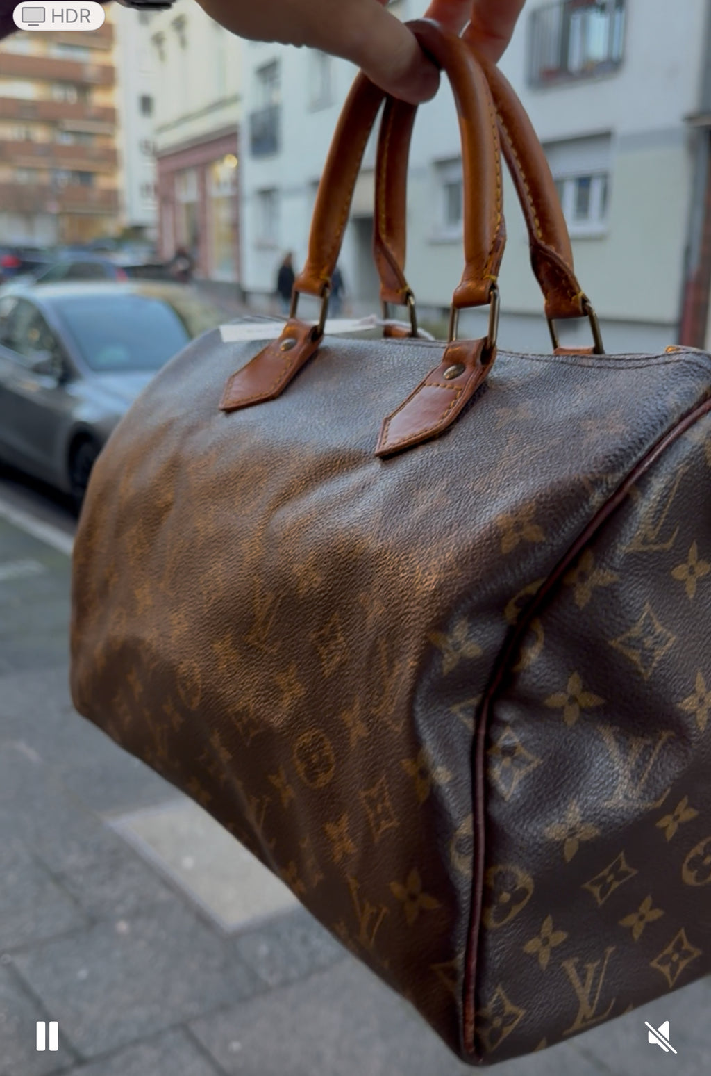 Speedy Monogram Canvas 30