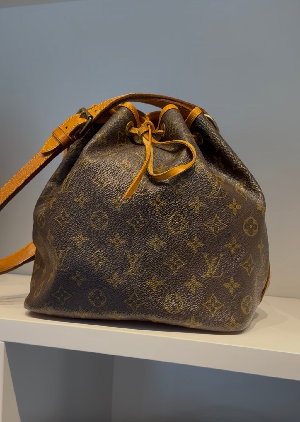 Sac Noe Monogram Canvas Petit