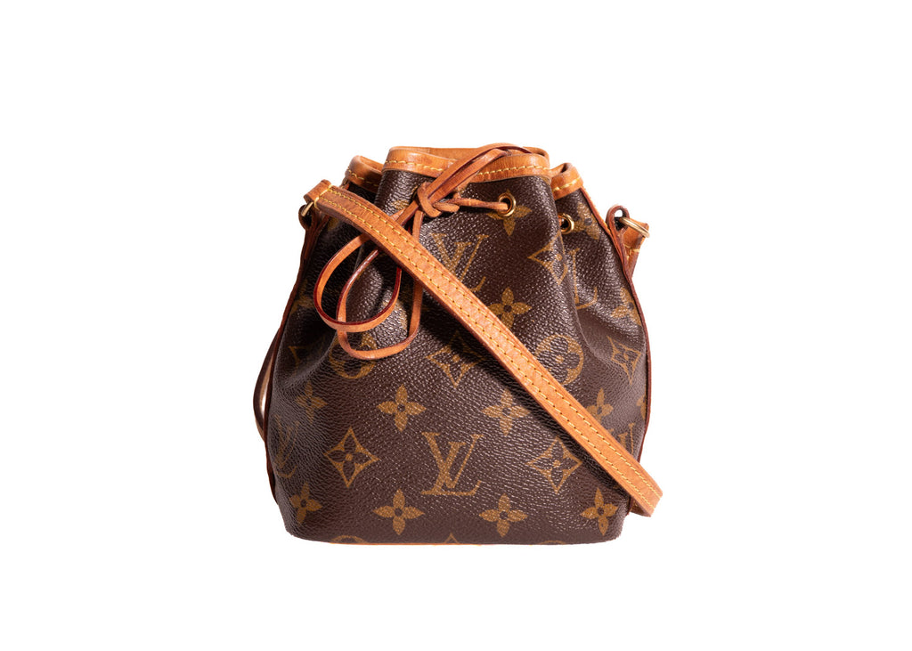 Sac Noe Nano Monogram Canvas