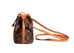 Sac Noe Nano Monogram Canvas