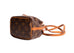 Sac Noe Nano Monogram Canvas