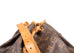 Sac Noe Monogram Canvas Grande