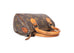 Nano Speedy Monogram Canvas