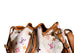 Sac Noé Multicolor
