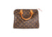Speedy Monogram Canvas 25