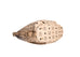 Visetos Hobo Creme