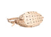 Visetos Hobo Creme