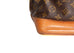 Sac Noe Monogram Canvas Grande