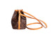 Sac Noe Nano Monogram Canvas