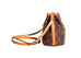 Sac Noe Nano Monogram Canvas