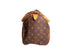 Speedy Monogram Canvas 30