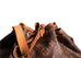 Sac Noe Monogram Canvas Petit