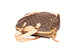 Louis Vuitton Monogram Canvas Retiro MM