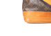 Sac Noe Monogram Canvas Grande
