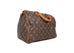 Speedy Monogram Canvas 30