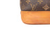 Sac Noe Monogram Canvas Grande